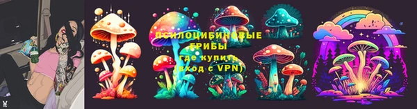 ECSTASY Белокуриха
