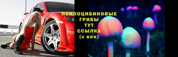 ECSTASY Белокуриха