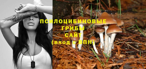 эйфоретик Балахна