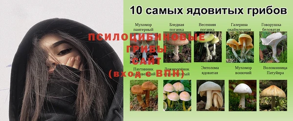эйфоретик Балахна